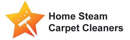 Home Steam Carpet Cleaners